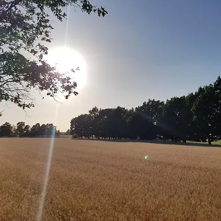 Stadtwohnung In Lägenhet *