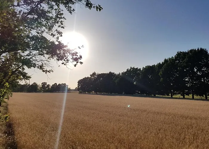 Stadtwohnung In Appartement *